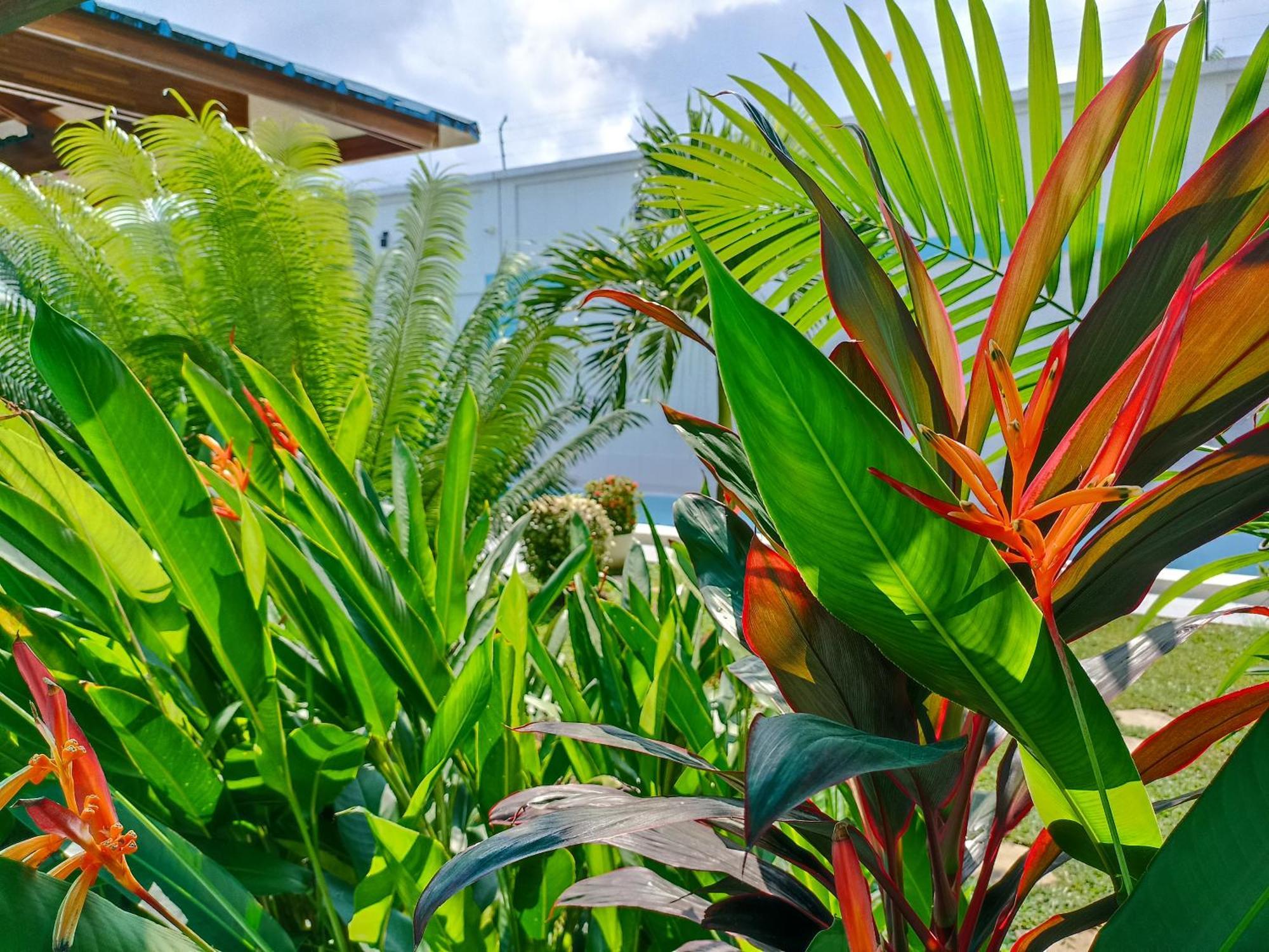 Morona Flats & Pool - 70 M2 Apartment อีกีโตส ภายนอก รูปภาพ